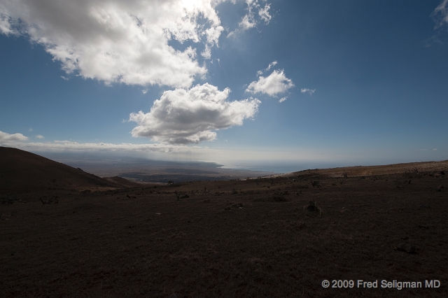 20091101_140521 D3.jpg - View of ocean in distance from Kohala Mountain Road, Hawaii